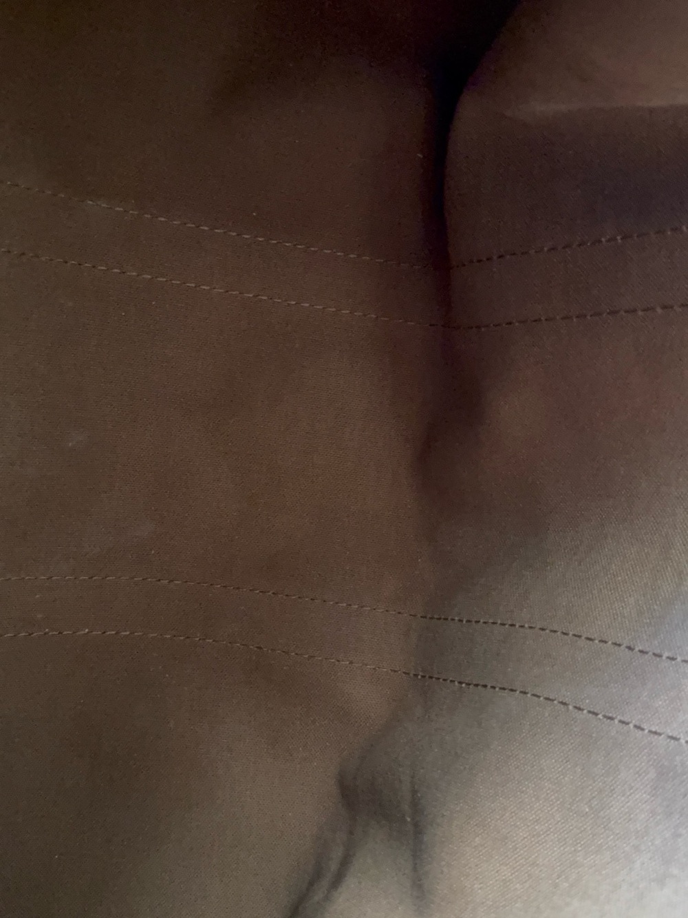 Louis Vuitton Brown Monogram Travel Tote with Natural Leather Trim - Picture 5 of 14